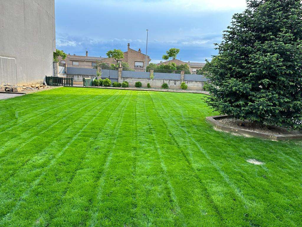 WhatsApp Image 2023-10-02 at 17.22.14 (1)