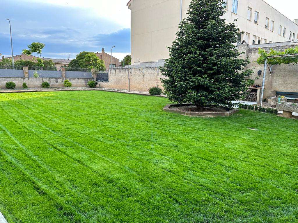 WhatsApp Image 2023-10-02 at 17.30.31 (12)