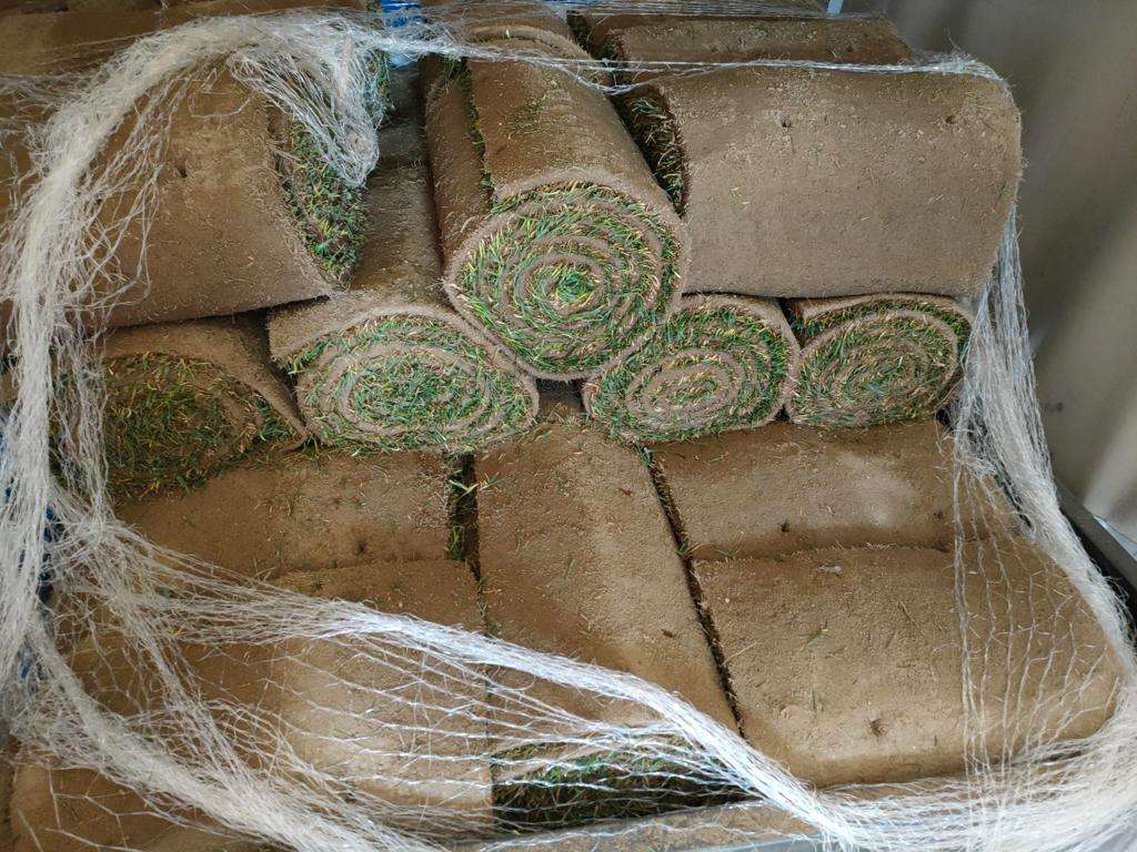 WhatsApp Image 2023-10-02 at 17.30.31 (4)