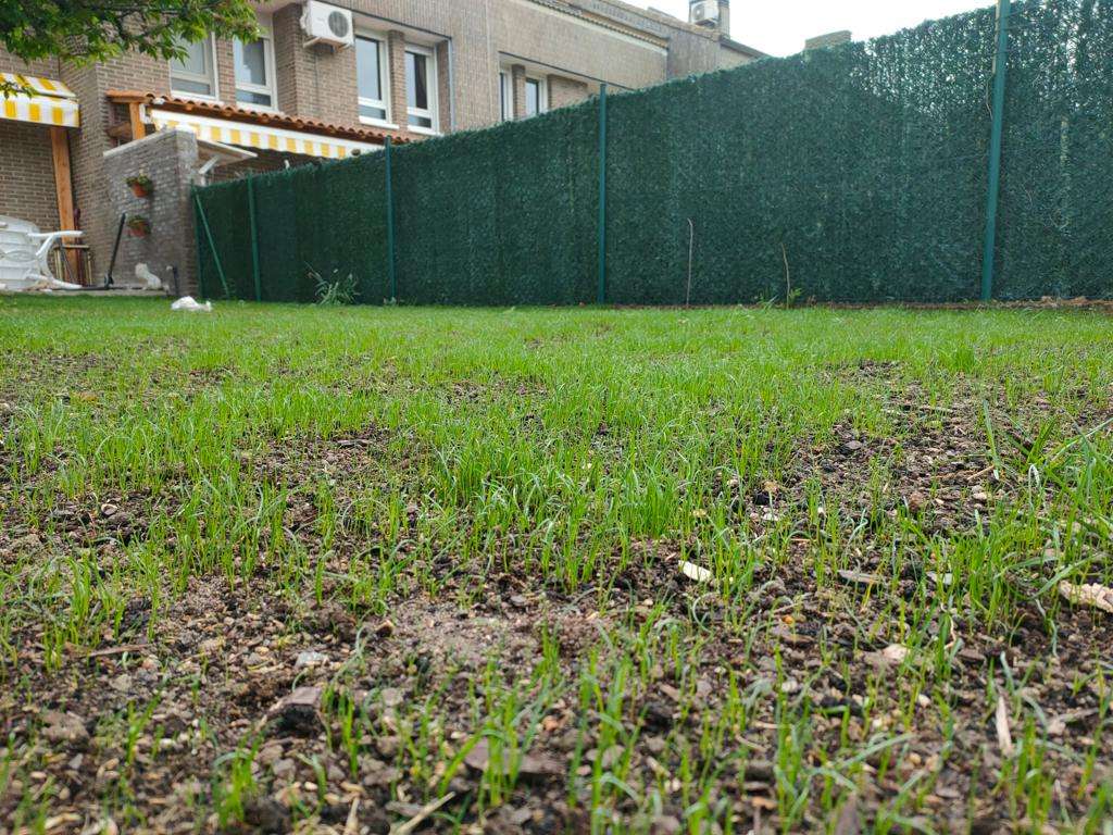 WhatsApp Image 2023-10-02 at 17.30.31