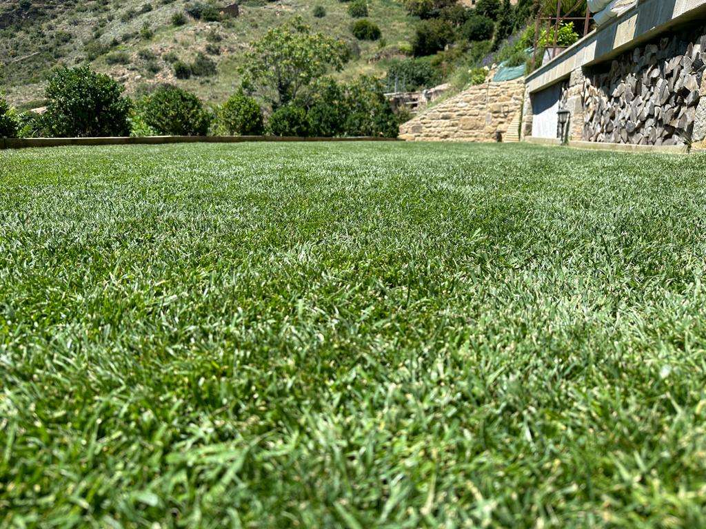 WhatsApp Image 2023-10-02 at 17.30.32 (1)